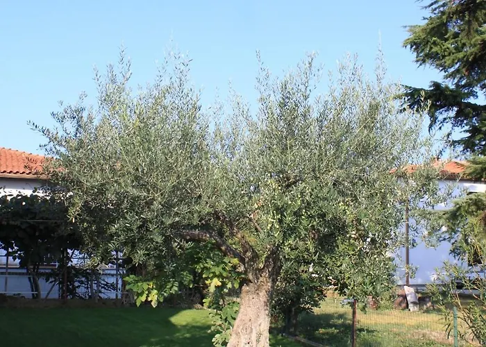 7125b Διαμέρισμα Ουμάγκ