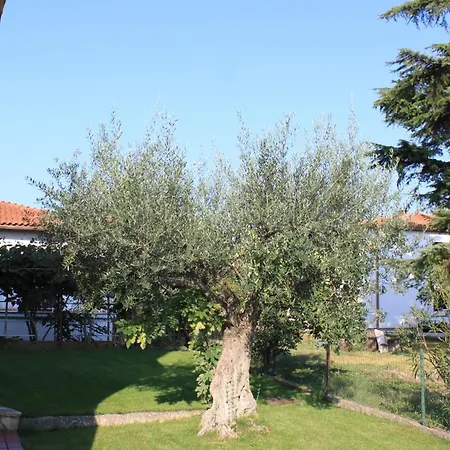 7125b Lejlighed Umag